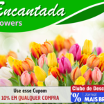 encantada floricultura goiania