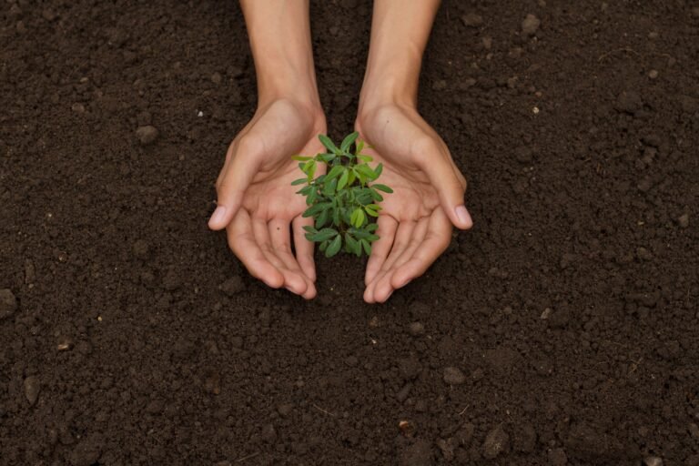 Governo sinaliza apoio ao projeto de reciprocidade ambiental