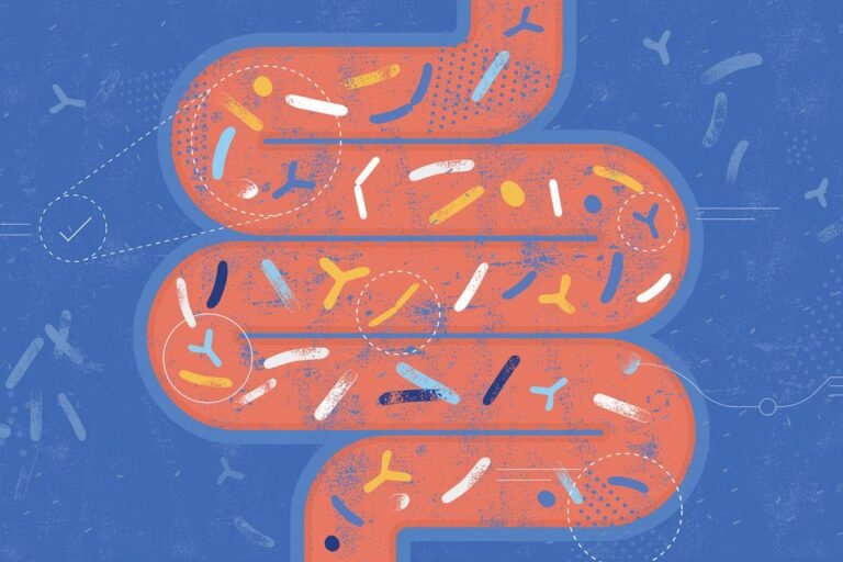 Microbiota intestinal é construída por amigos e familiares, diz estudo