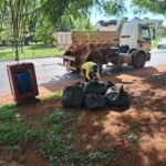 Mutirão promove retirada de lixo verde em quadras do Plano Piloto