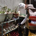 DF intensifica instalação de armadilhas contra o mosquito da dengue