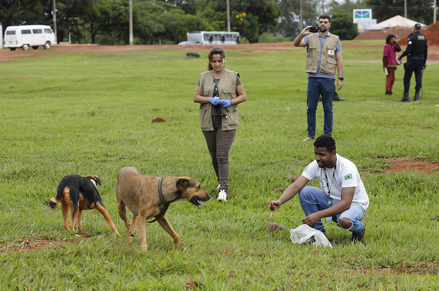 06/12/2024 - Dezembro Verde: a importância do combate ao abandono de animais