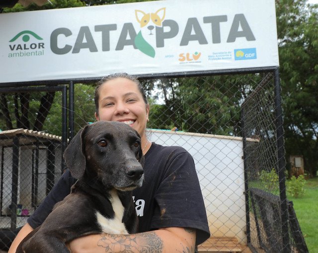 23/12/20024 - Das ruas para um novo lar: em um ano, projeto Cata Pata resgata 65 cachorros