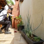 Ceilândia recebe Dia D de mobilização nacional contra a dengue neste sábado (14)