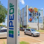 IPEDF contribuiu para o desenvolvimento de políticas públicas mais assertivas ao longo de 2024