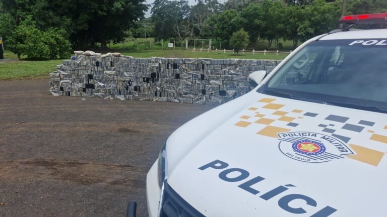 PMGO atua na 2ª maior apreensão de cocaína do Brasil em 2024