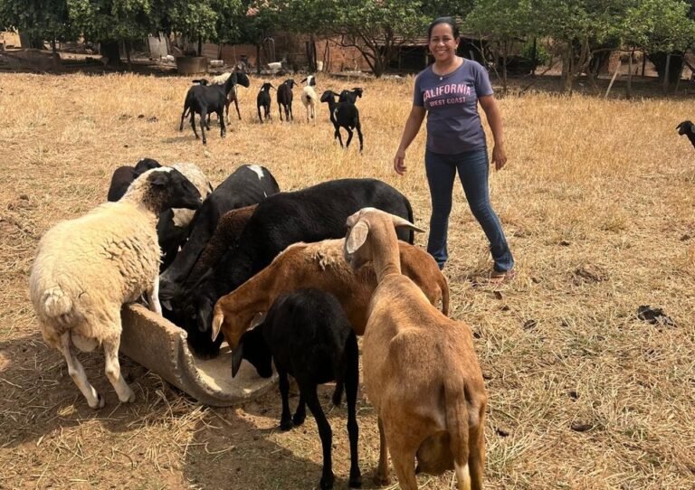 Fomento Rural destina recursos a agricultores familiares