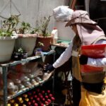 Agentes de Vigilância Ambiental visitam residências no Sol Nascente para o combate à dengue