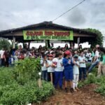 Projeto diverte e ensina alunos da Escola Classe Córrego do Meio sobre preservação ambiental