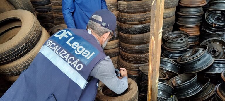 DF Legal garante bem-estar da população com mais de 80 mil ações fiscais em 2024