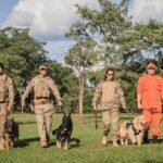 Primeiro Natal Pets tem demonstração de cães e ações de conscientização