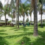 Ação de acolhimento atende 30 pessoas em situação de rua no Plano Piloto nesta semana