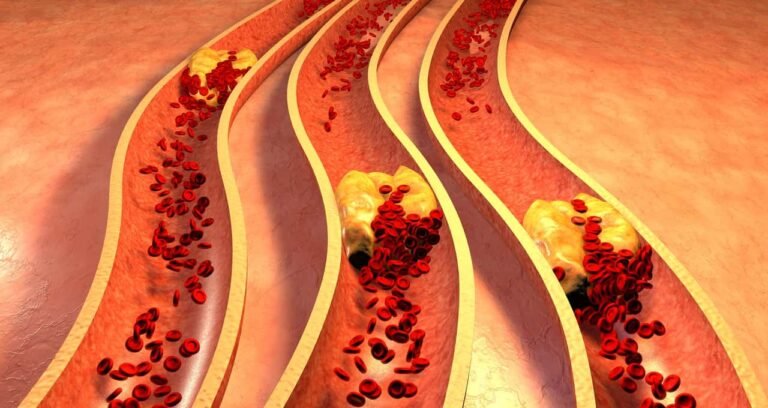 Harvard revela 5 alimentos para controlar o colesterol naturalmente