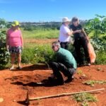 Parque Ecológico do Riacho Fundo recebe primeiro plantio do ano