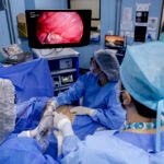 Aberto processo seletivo para nove especialidades na área de saúde