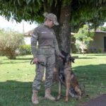 Referência nacional, BPCães da PMDF apreendeu cerca de 400 kg de substâncias ilícitas em 2024