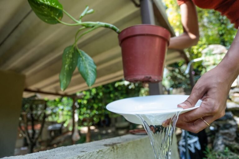 Saúde adverte sobre importância de intensificar combate ao Aedes aegypti no período de férias