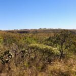Conferência reúne regiões administrativas do DF para discutir preservação ambiental