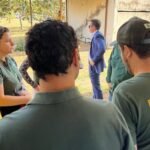 Manual de fiscalização agiliza julgamentos de infrações ambientais