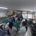 Aberto processo seletivo de monitoria para estudantes de medicina