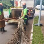 Resíduos vegetais viram composto para produção de mudas e manutenção de áreas verdes