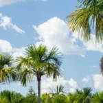 Empresa de Regularização de Terras Rurais lança o primeiro edital de CDU em 2025