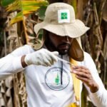 Saúde moderniza ferramenta que identifica focos e planeja ações contra a dengue