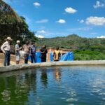 Representantes do Malawi conhecem propriedade-modelo em produção de pescado no DF