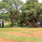 Ação leva oferta de serviços públicos para pessoas em situação de rua no Plano Piloto nesta quinta (13)