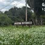 Jardim Botânico celebra 40 anos com entrada gratuita durante todo o mês de março