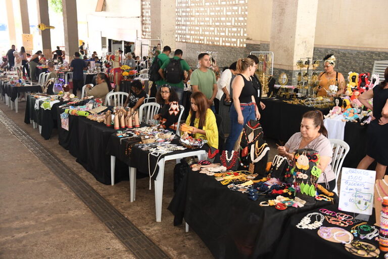 Projeto Banco de Talentos inaugura feira nesta terça (11) no Setor Comercial Sul