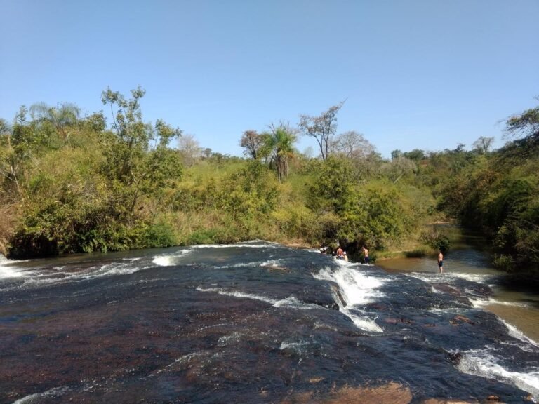 Parque Ecológico Córrego da Onça passa a ser denominado Estação Ecológica Córrego da Onça