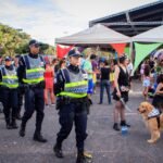 Carnaval no DF tem redução de 42,9% na média diária de registros policiais