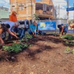 Ponto de descarte irregular de lixo é transformado em praça de convivência para os moradores da Vila Telebrasília