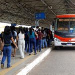 Zebrinhas, antes restritos ao Plano Piloto, agora circulam por diferentes regiões do DF