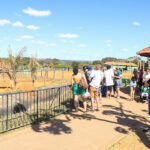 Vai de Graça: Confira linhas que atendem Jardim Botânico e Zoológico aos domingos