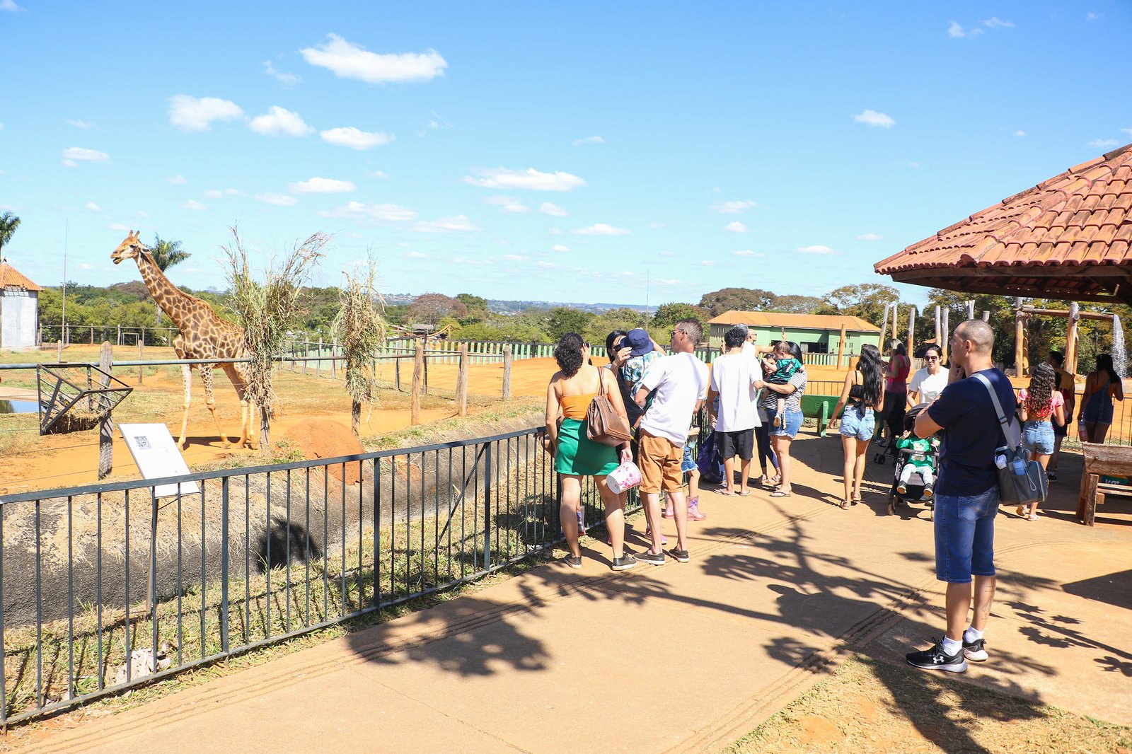 Vai de Graça: Confira linhas que atendem Jardim Botânico e Zoológico aos domingos