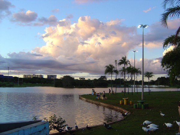 Lago do Parque da Cidade passará por operação de limpeza na segunda-feira (31)