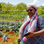 Protagonismo feminino no campo: 9,4 mil mulheres cultivam alimentos e fortalecem a agricultura familiar no DF