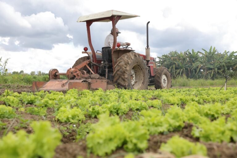 GDF inicia georreferenciamento de fazendas nas áreas rurais de São Sebastião