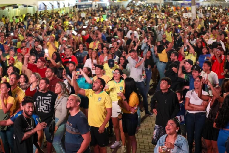 Torcedores vibram com jogo da Seleção no Comemora Brasília Fan Fest, em Ceilândia