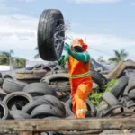 Grupo executivo para combate ao mosquito Aedes aegypti é ampliado