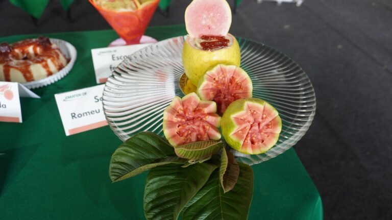 Concurso de Receitas com Goiaba chega à 5ª edição neste sábado (5)