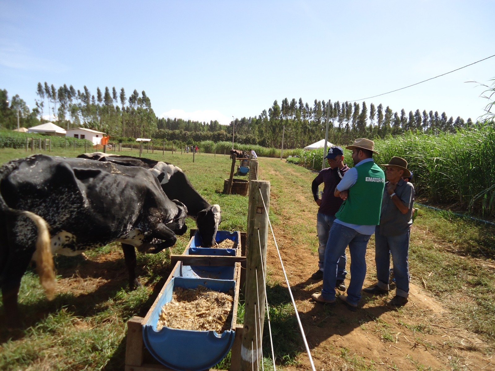 Emater-DF celebra 47 anos de dedicação ao desenvolvimento rural do Distrito Federal
