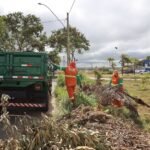 Mutirões retiram mais de 19 mil toneladas de entulho em 25 cidades do DF