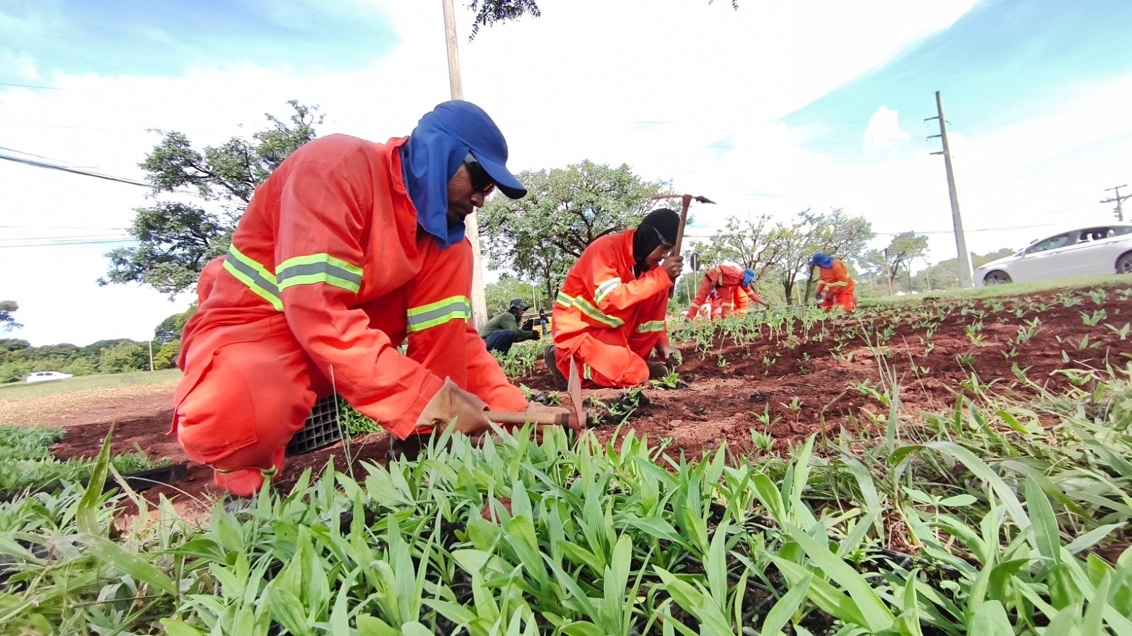 Octogonal e Saan recebem novos canteiros ornamentais