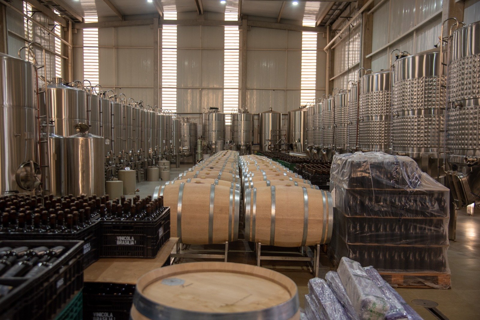 Vinhos do Cerrado superam rótulos internacionais em pesquisa inédita