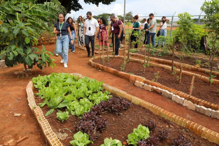 Visitas técnicas reconhecem boas práticas de segurança alimentar no DF