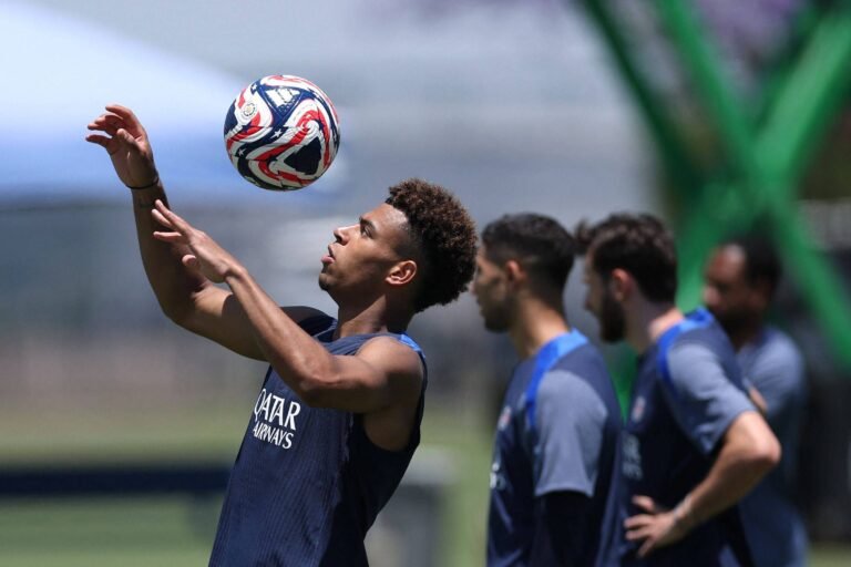 Onde ver Palmeiras, Botafogo e PSG na Copa de Clubes – 15/06/2025 – Esporte