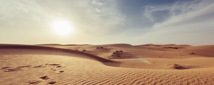 sol sobre um deserto; É como o escritório pode sentir durante uma onda de calor